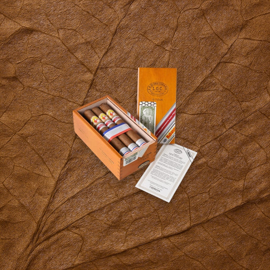 La Gloria Cubana Podium Edición Regional Francia 2024